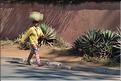 Dans les rues d'Antsirabe. (29)