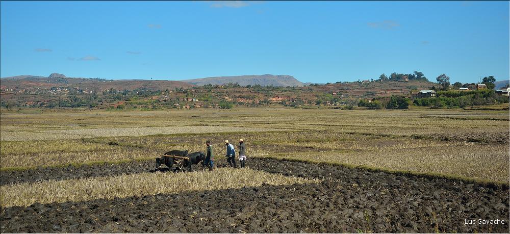 Sur la route entre Antsirabe et Miandrivazo. (1)
