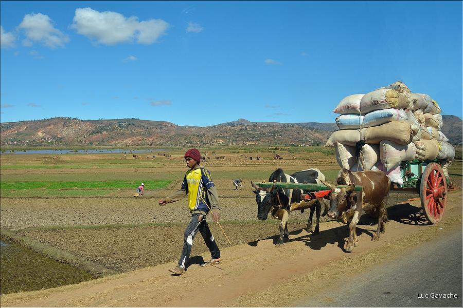 Sur la route entre Antsirabe et Miandrivazo. (2)