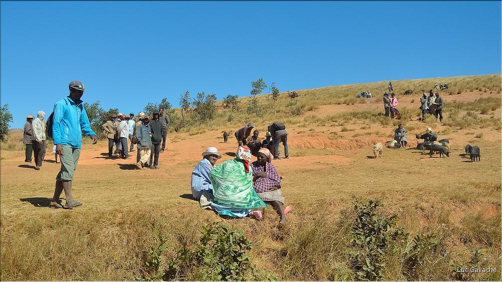 Sur la route entre Antsirabe et Miandrivazo. (9)