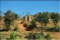 Sur la route entre Antsirabe et Miandrivazo. (11)