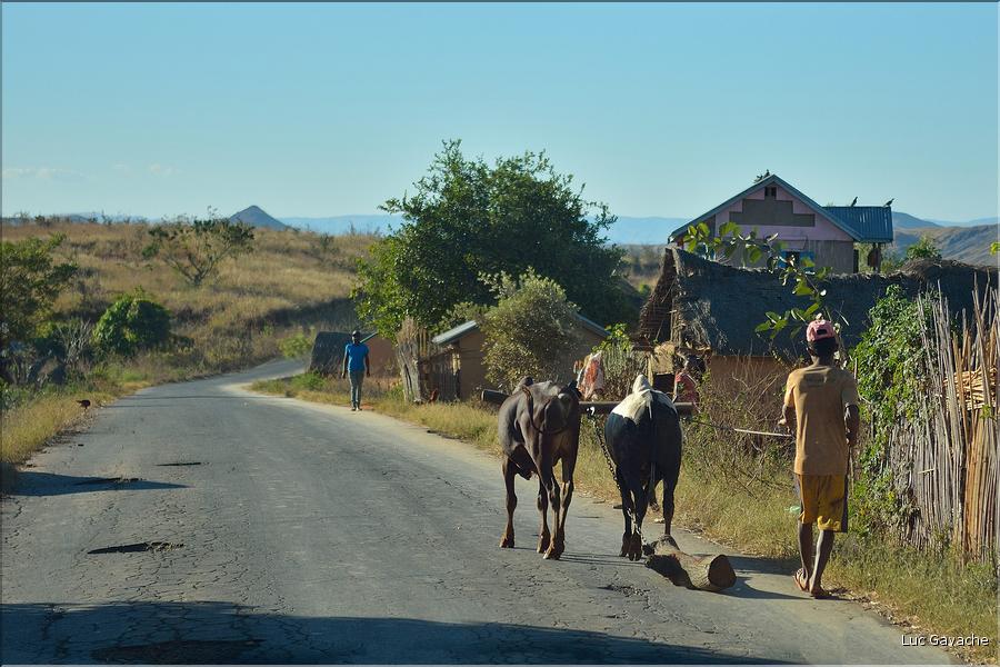 Sur la route entre Antsirabe et Miandrivazo. (23)