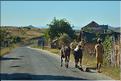 Sur la route entre Antsirabe et Miandrivazo. (23)