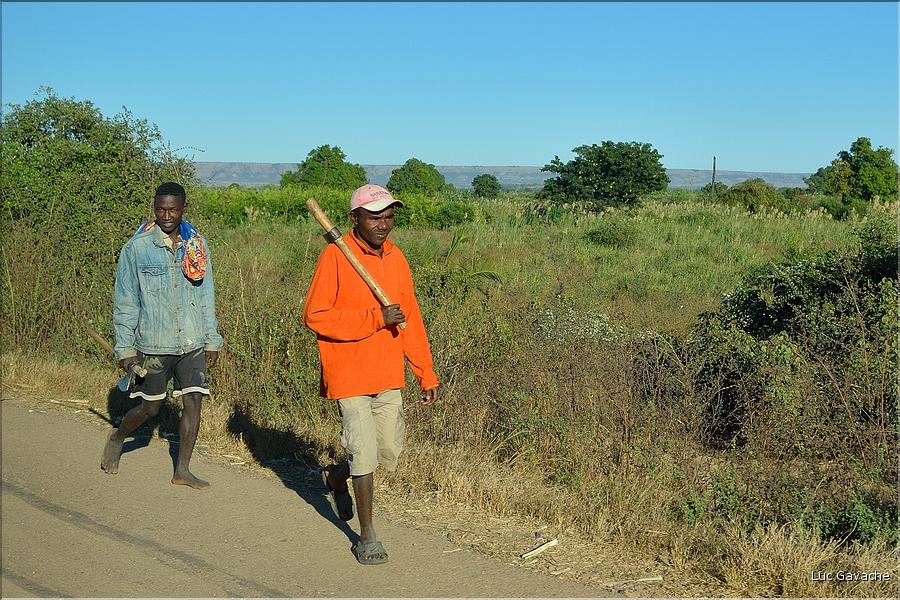 Scènes de vie le long de la route entre Miandrivazo et Morondava. (1)