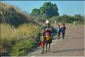 Scènes de vie le long de la route entre Miandrivazo et Morondava. (9)