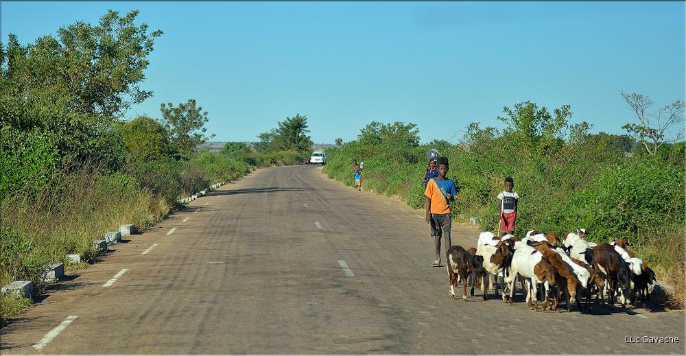 Scènes de vie le long de la route entre Miandrivazo et Morondava. (24)