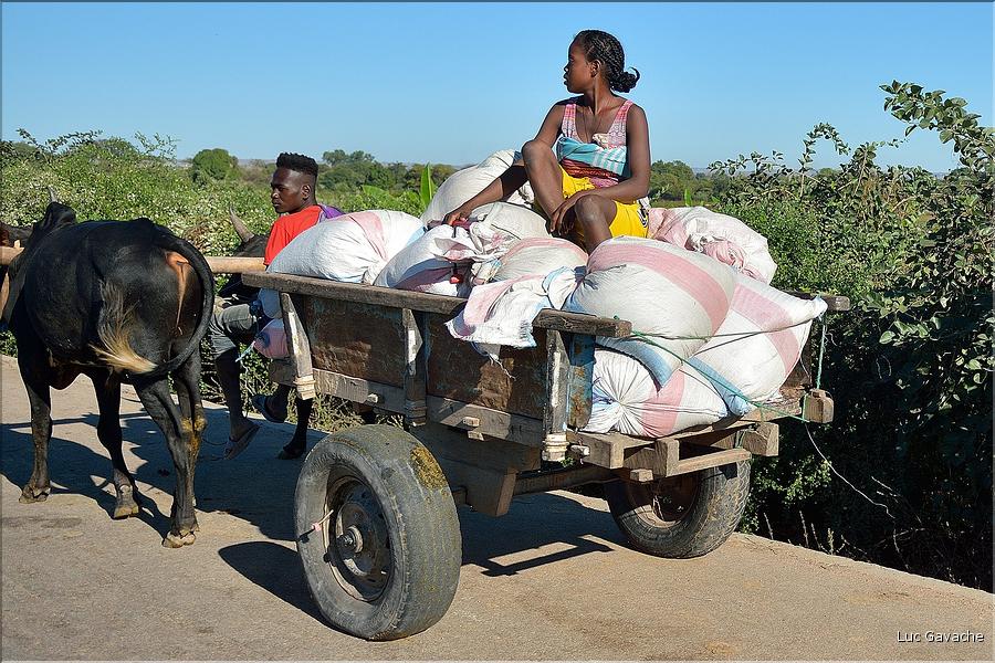 Scènes de vie le long de la route entre Miandrivazo et Morondava. (26)
