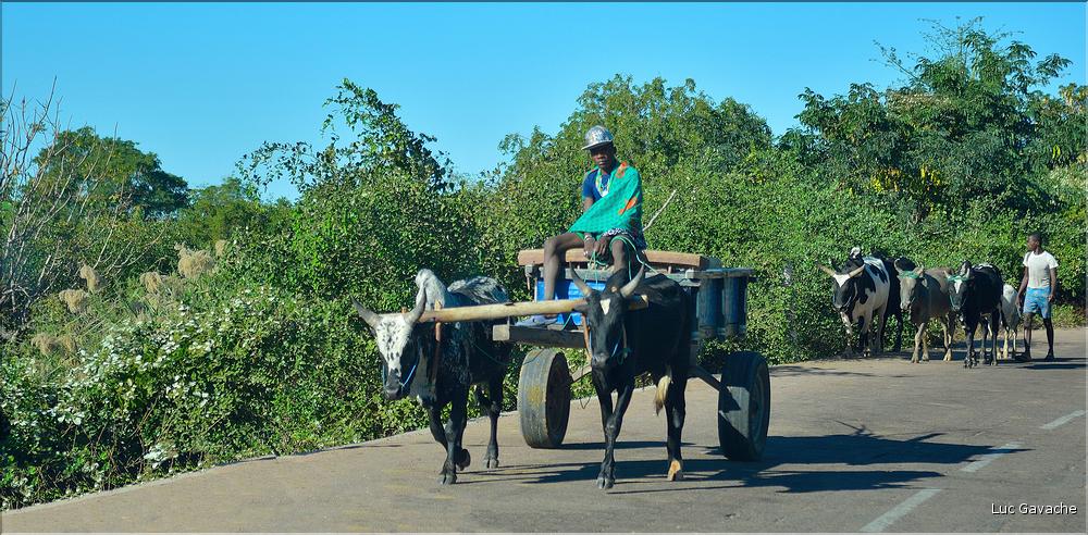 Scènes de vie le long de la route entre Miandrivazo et Morondava. (28)