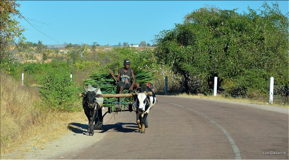 Scènes de vie le long de la route entre Miandrivazo et Morondava. (30)