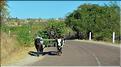 Scènes de vie le long de la route entre Miandrivazo et Morondava. (30)