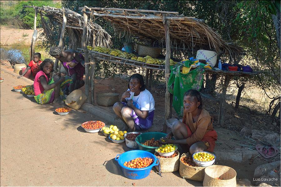 Scènes de vie le long de la route entre Miandrivazo et Morondava. (32)