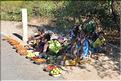 Scènes de vie le long de la route entre Miandrivazo et Morondava. (33)