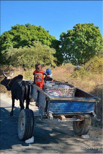 Scènes de vie le long de la route entre Miandrivazo et Morondava. (35)
