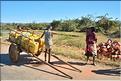 Scènes de vie le long de la route entre Miandrivazo et Morondava. (48)