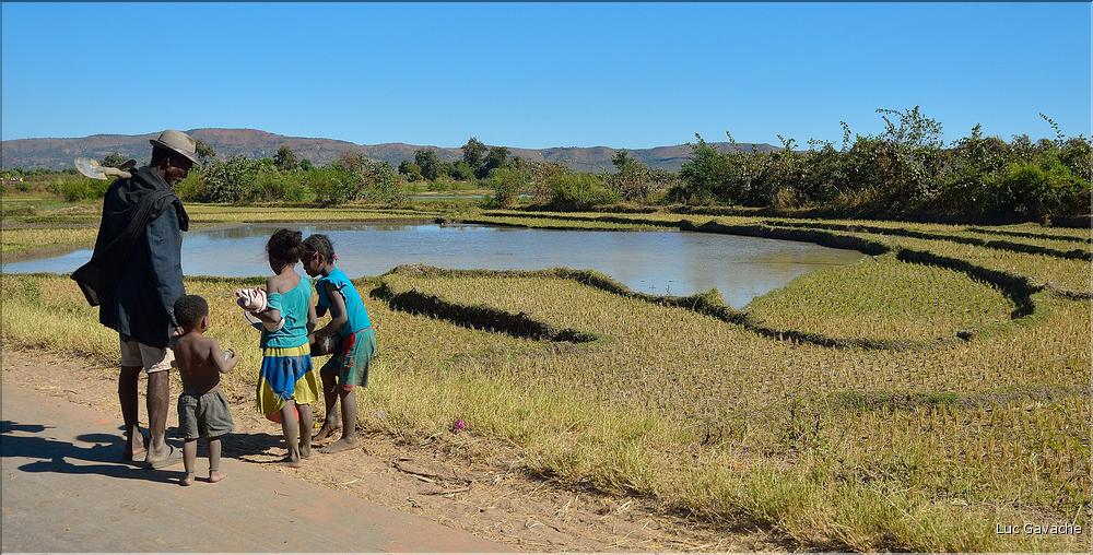 Scènes de vie le long de la route entre Miandrivazo et Morondava. (49)