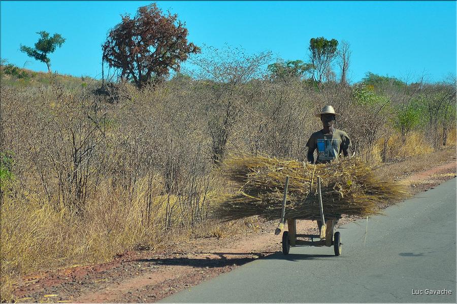 Scènes de vie le long de la route entre Miandrivazo et Morondava. (60)