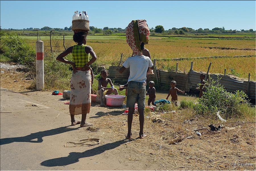 Dans les environs de Morondava. (9)