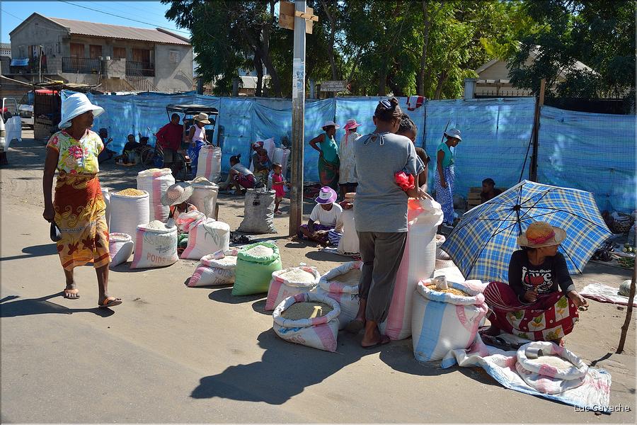 Dans les rues de Morondava. (3)