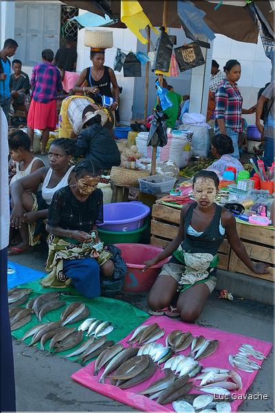 Dans les rues de Morondava. (5)