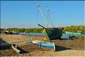 Le petit port de Morondava.  (11)