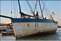 Le petit port de Morondava.  (19)