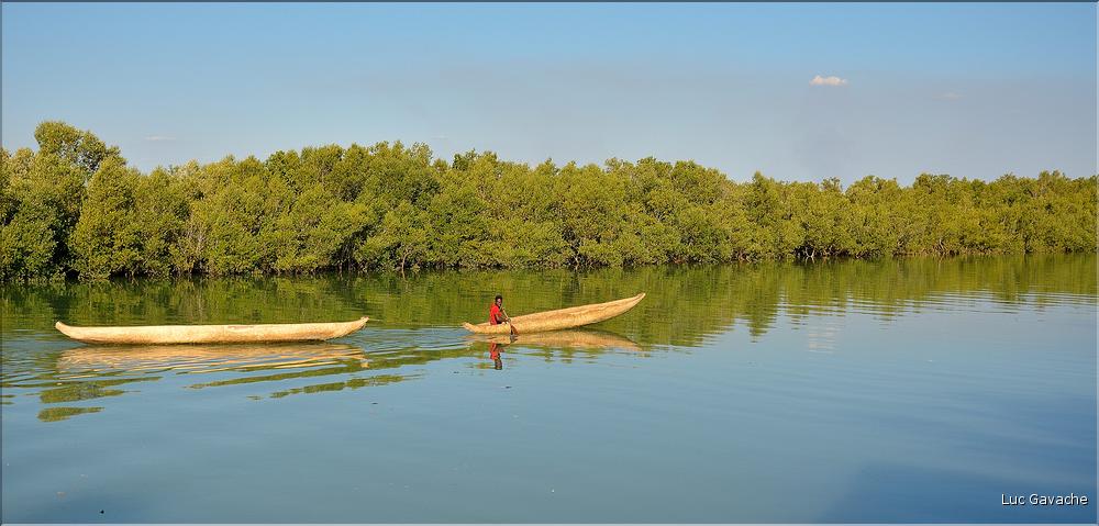 Mangrove et petit village de pêcheurs face à Morondava. (1)