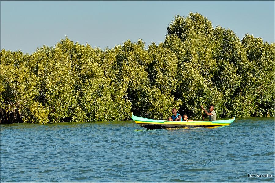 Mangrove et petit village de pêcheurs face à Morondava. (2)