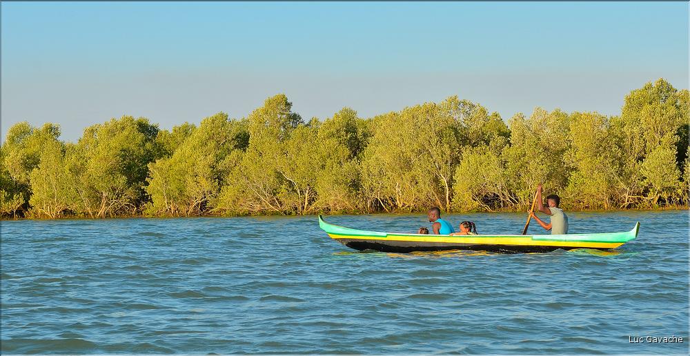 Mangrove et petit village de pêcheurs face à Morondava. (3)
