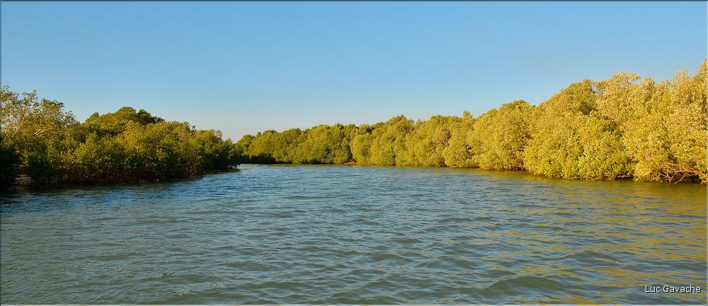 Mangrove et petit village de pêcheurs face à Morondava. (5)