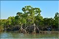 Mangrove et petit village de pêcheurs face à Morondava. (6)