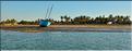 Mangrove et petit village de pêcheurs face à Morondava. (9)