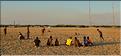 Mangrove et petit village de pêcheurs face à Morondava. (17)