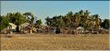 Mangrove et petit village de pêcheurs face à Morondava. (20)