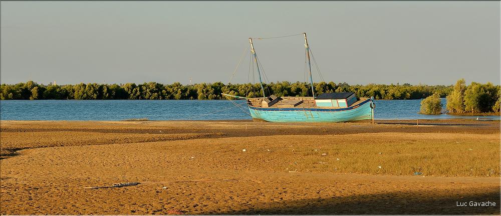 Mangrove et petit village de pêcheurs face à Morondava. (23)
