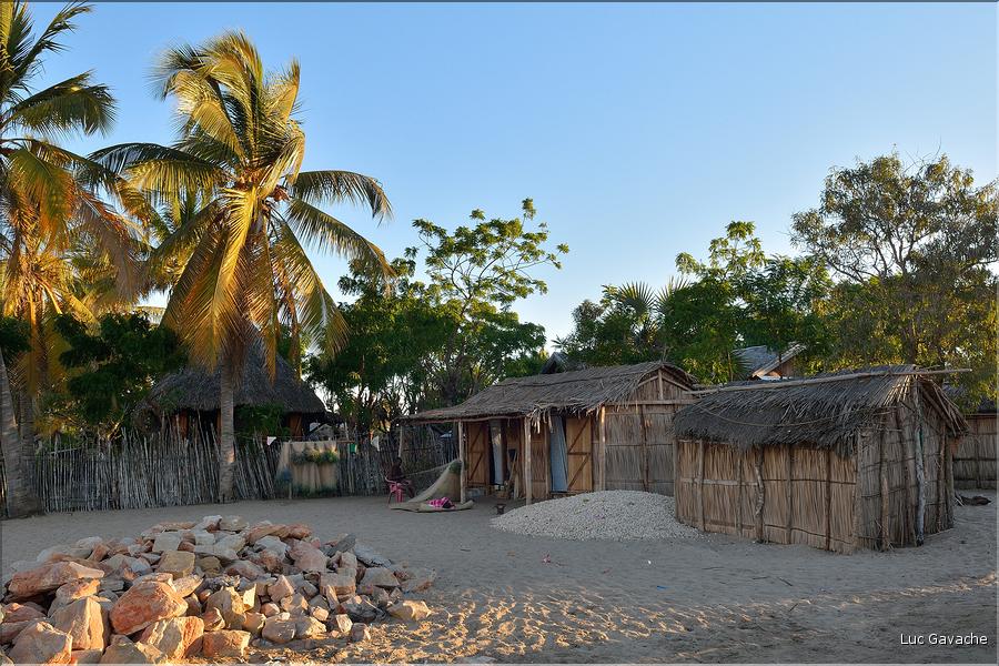 Mangrove et petit village de pêcheurs face à Morondava. (26)
