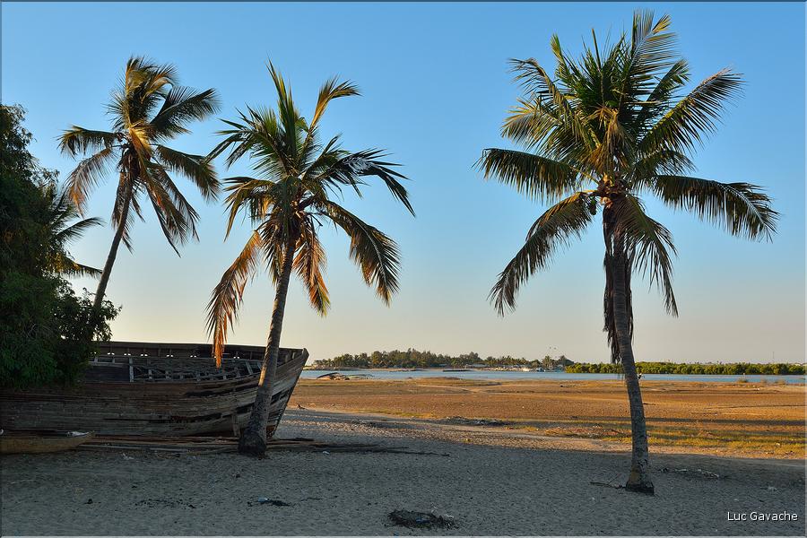 Mangrove et petit village de pêcheurs face à Morondava. (30)
