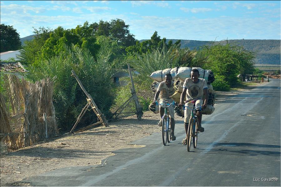 Le long de la route entre Tuléar et Ranohira. (1) Vendeurs de charbon de bois.
