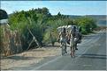Le long de la route entre Tuléar et Ranohira. (1) Vendeurs de charbon de bois.