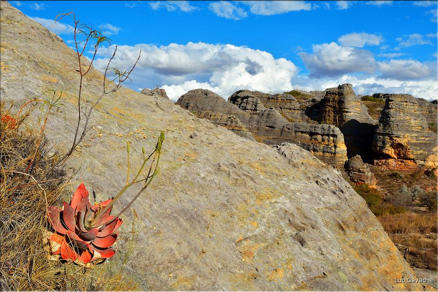 Le Parc National d'Isalo est composé de grès, résultant d'anciens fond marins, qui remontent au jurassique. (23)