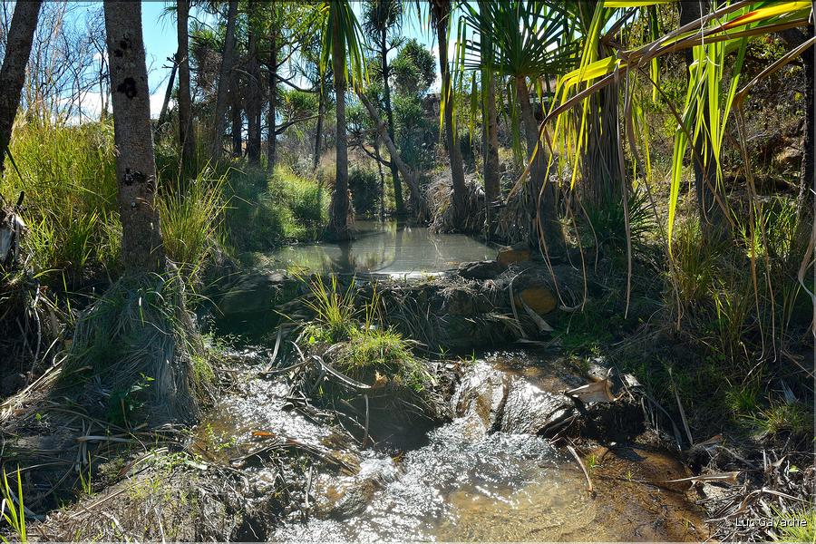 Le Parc National d'Isalo est composé de grès, résultant d'anciens fond marins, qui remontent au jurassique. (65)
