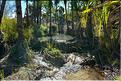 Le Parc National d'Isalo est composé de grès, résultant d'anciens fond marins, qui remontent au jurassique. (65)