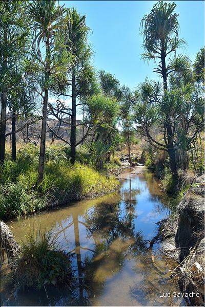 Le Parc National d'Isalo est composé de grès, résultant d'anciens fond marins, qui remontent au jurassique. (67)
