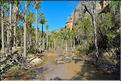 Le Parc National d'Isalo est composé de grès, résultant d'anciens fond marins, qui remontent au jurassique. (78) Plante de la famille des pandanus