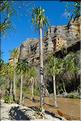 Le Parc National d'Isalo est composé de grès, résultant d'anciens fond marins, qui remontent au jurassique. (79) Plante de la famille des pandanus