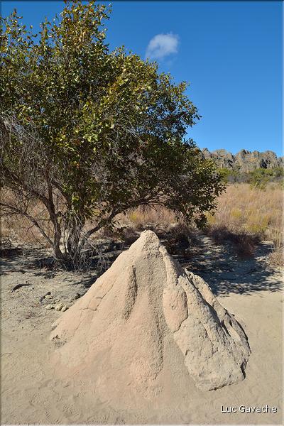 Le Parc National d'Isalo est composé de grès, résultant d'anciens fond marins, qui remontent au jurassique. (85) Terrmitière
