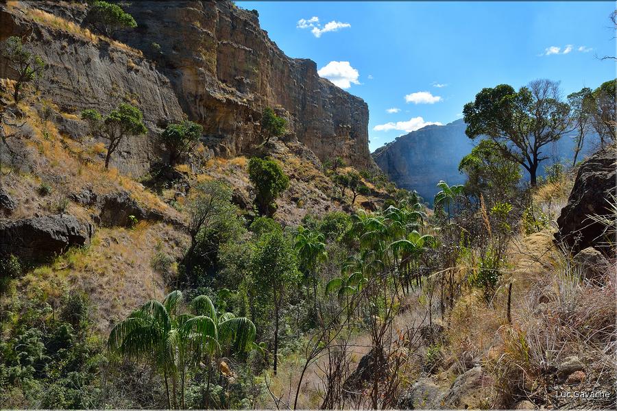 Le Parc National d'Isalo est composé de grès, résultant d'anciens fond marins, qui remontent au jurassique. (89)