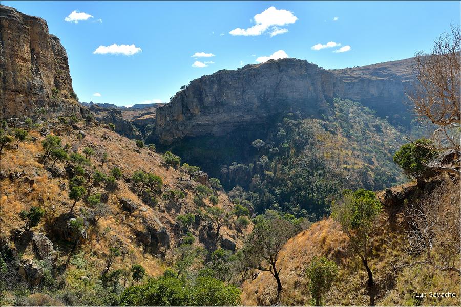 Le Parc National d'Isalo est composé de grès, résultant d'anciens fond marins, qui remontent au jurassique. (90)