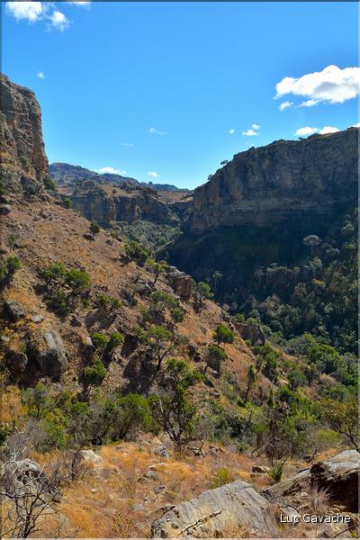 Le Parc National d'Isalo est composé de grès, résultant d'anciens fond marins, qui remontent au jurassique. (91)