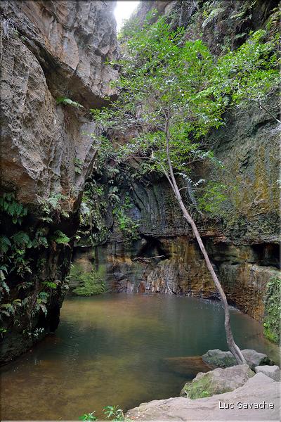 Le Parc National d'Isalo est composé de grès, résultant d'anciens fond marins, qui remontent au jurassique. (99)