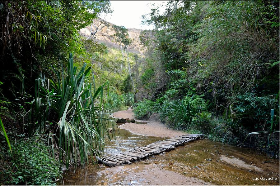 Le Parc National d'Isalo est composé de grès, résultant d'anciens fond marins, qui remontent au jurassique. (100)